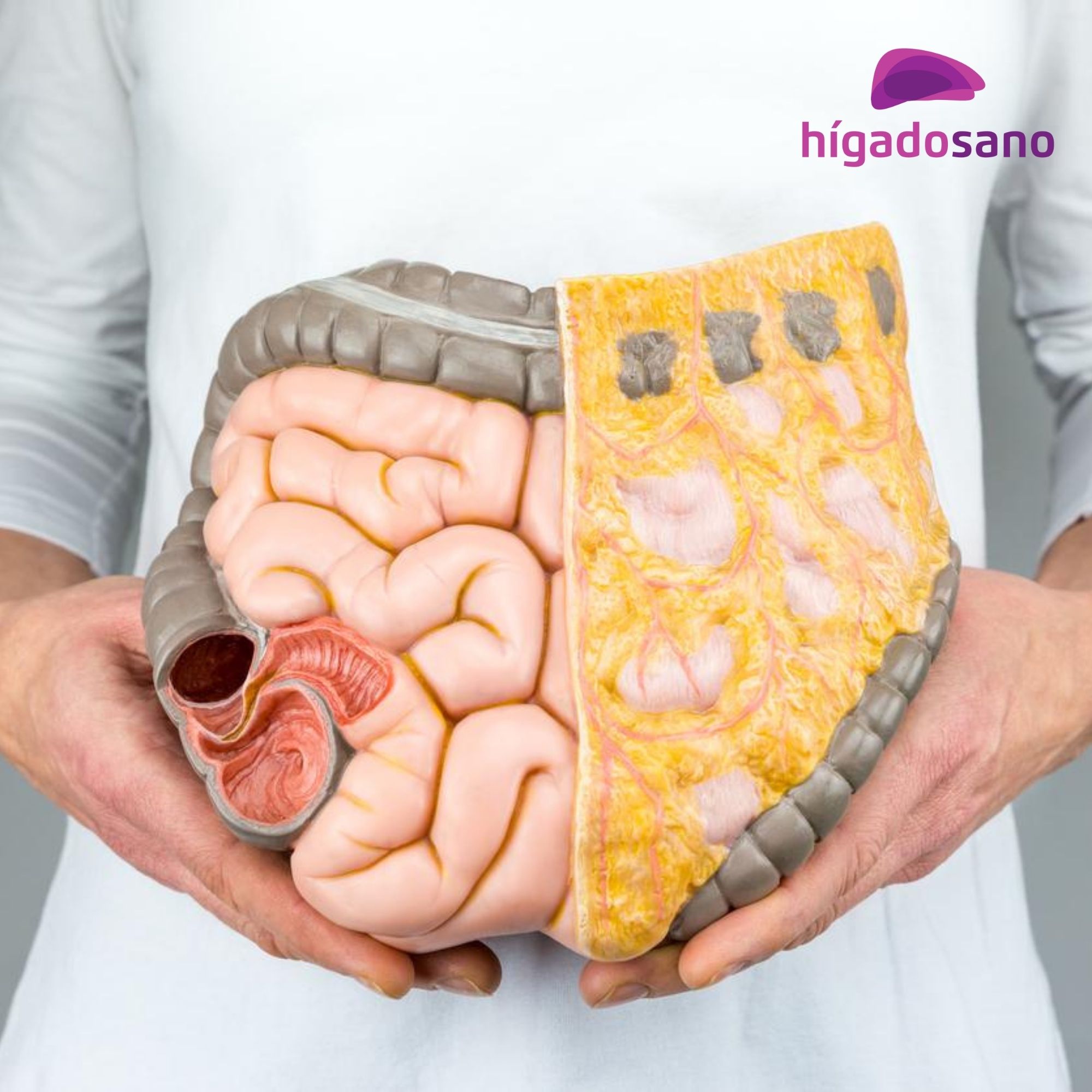 estrés afecta hígado