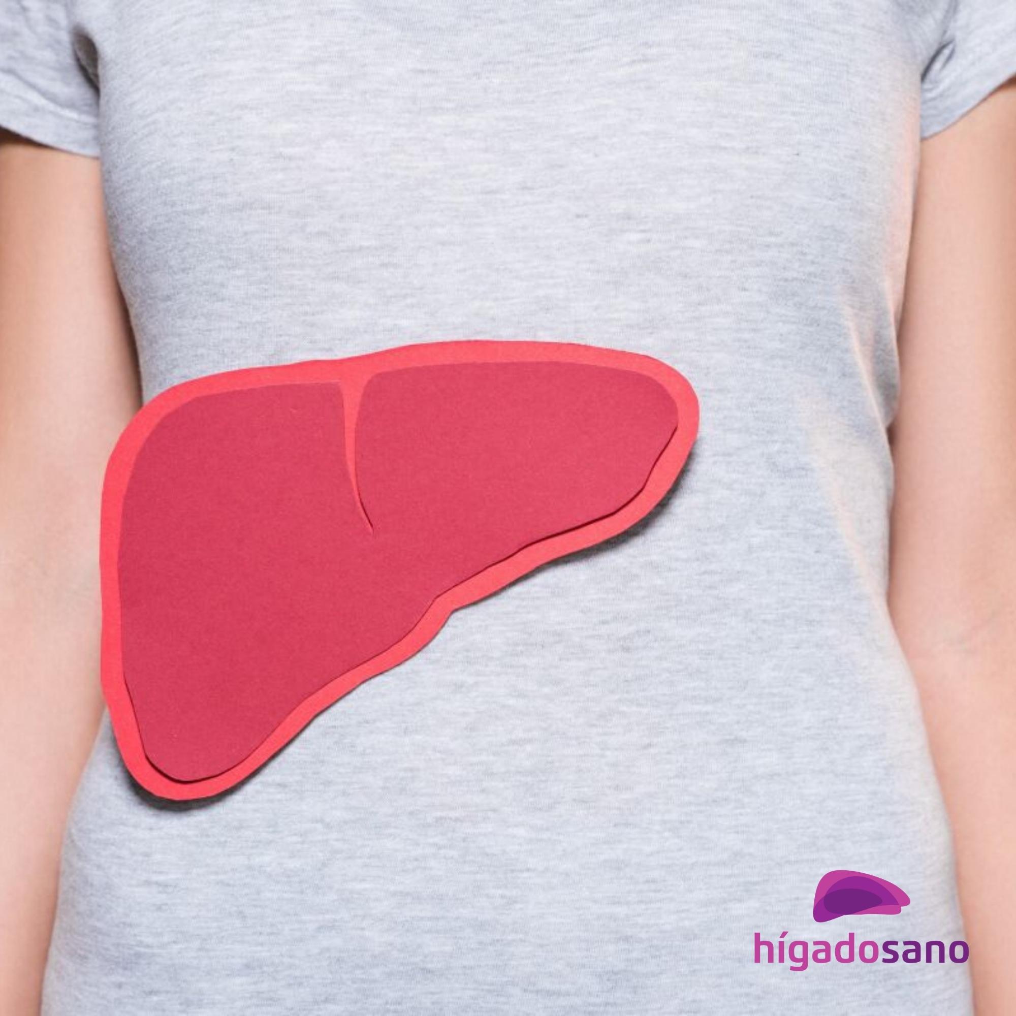 enfermedades hepaticas higado graso