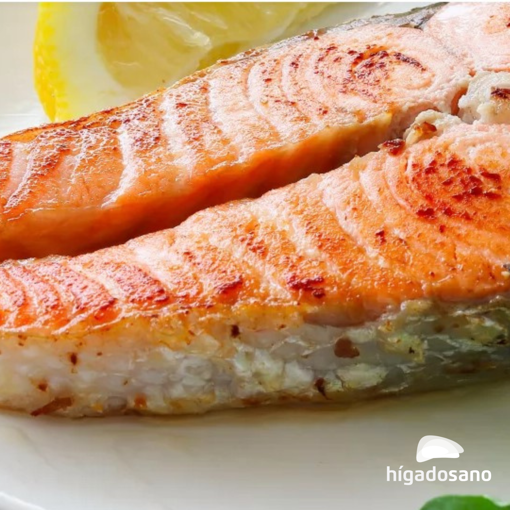 omega 3 para la inflamación crónica