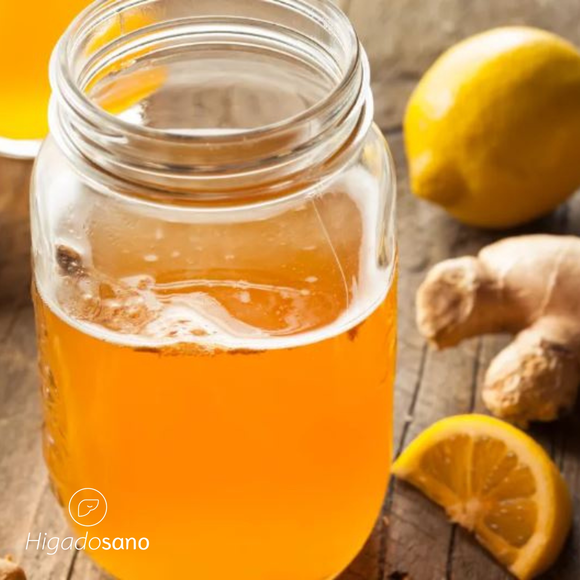 te kombucha scoby