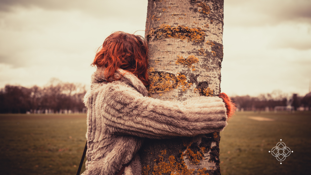 BENEFICIOS DE ABRAZAR A UN ÁRBOL