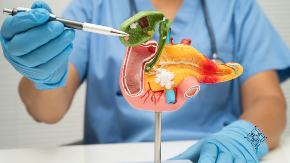 Diagrama médico del hígado produciendo bilis, actuando como un antiinflamatorio natural en el cuerpo.