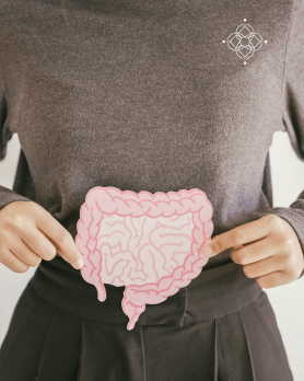 Intestino
