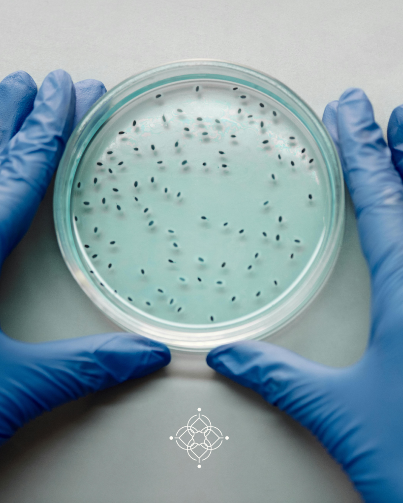 Alimenta tus bacterias, no tu repisa